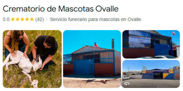 https://crematoriomascotalaserena.cl/wp-content/uploads/2025/01/ovalle-mapa-600x300.jpg